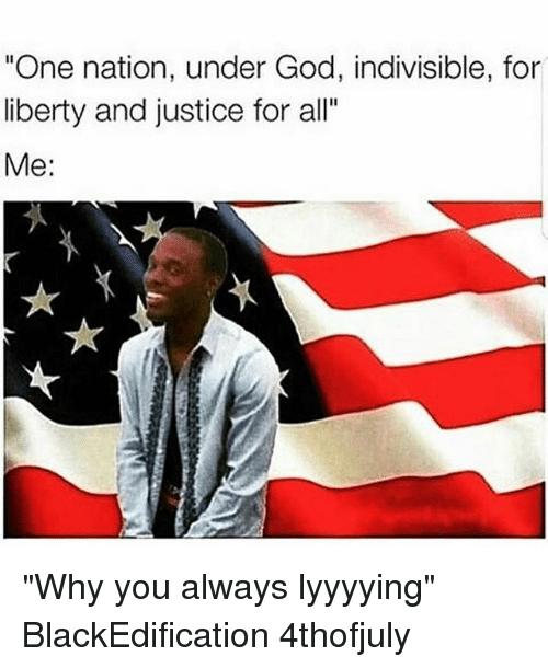 funny Veterans Day meme